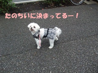 DSCF6348.jpg