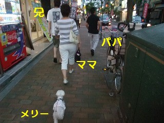 DSCF6421.jpg