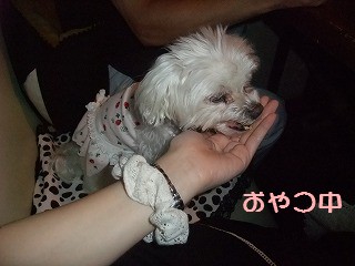 DSCF6424.jpg