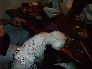 DSCF6428.jpg