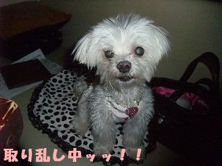 DSCF6432.jpg