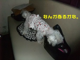 DSCF6441.jpg