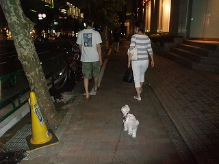 DSCF6449.jpg