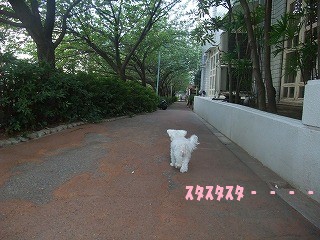 DSCF6474.jpg