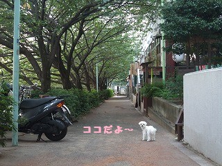 DSCF6477.jpg