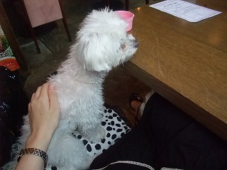 DSCF6480.jpg
