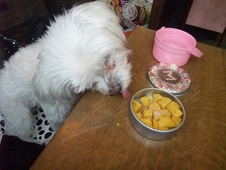 DSCF6486.jpg