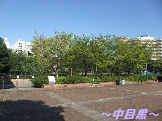 DSCF6730.jpg