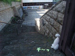 DSCF6732.jpg