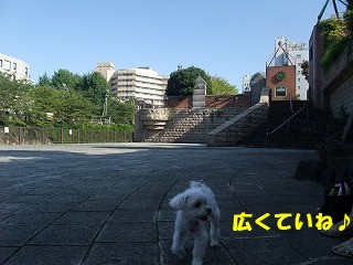DSCF6733.jpg