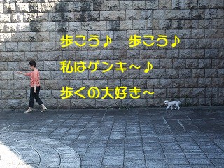 DSCF6744.jpg