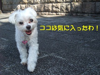 DSCF6745.jpg