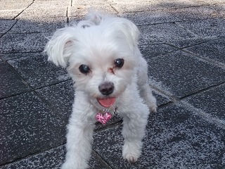 DSCF6746.jpg