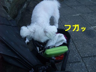 DSCF6757.jpg