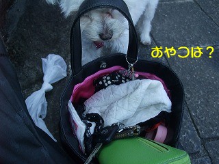 DSCF6758.jpg