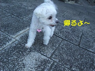 DSCF6768.jpg