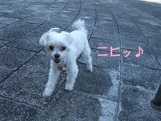DSCF6773.jpg