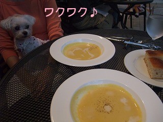 DSCF6802.jpg