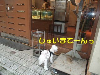 DSCF6811.jpg
