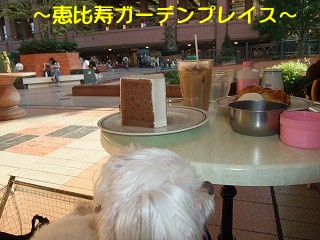 DSCF6818.jpg