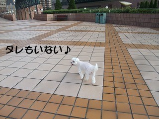 DSCF6824.jpg