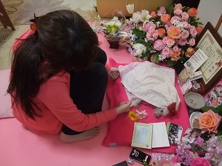 DSCF7012.jpg