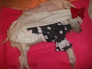 DSCF7017.jpg