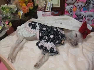 DSCF7040.jpg