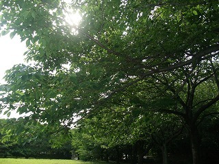 DSCF7398.jpg