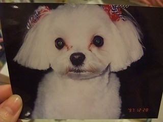 DSCF7475.jpg