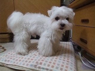 DSCF7646.jpg