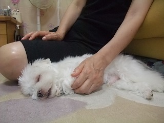 DSCF7649.jpg