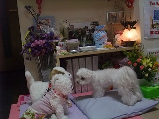 DSCF7650.jpg
