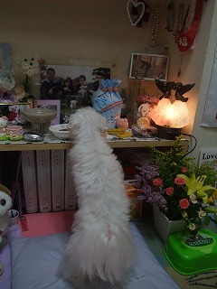 DSCF7655.jpg