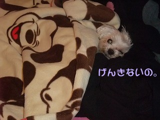 DSCF8001.jpg