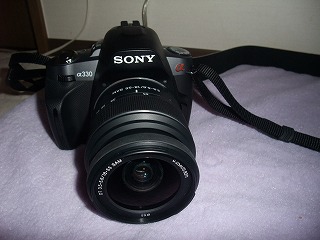 DSCF8008.jpg