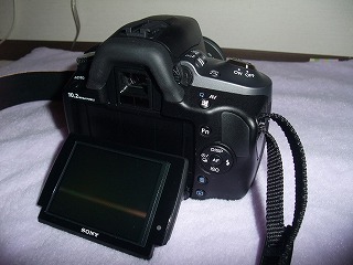 DSCF8013.jpg