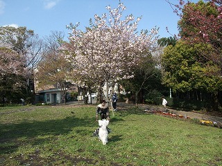 DSCF8118.jpg
