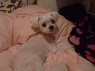 DSCF8996.jpg
