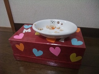 DSCF9003.jpg