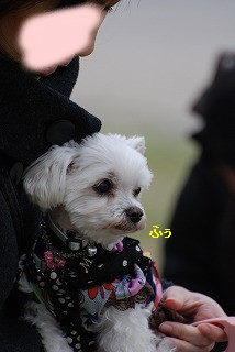 DSC_0152.jpg