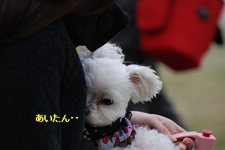 DSC_0158.jpg