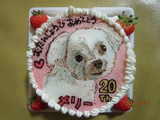 IMG_0632.jpg